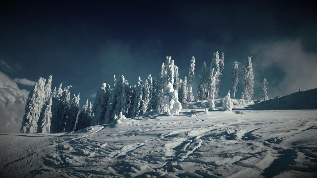 Hotel Pension Barbara Sankt Martin am Tennengebirge Exteriér fotografie