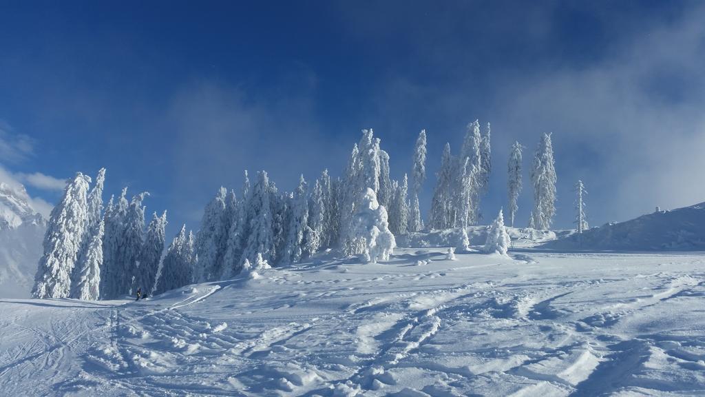 Hotel Pension Barbara Sankt Martin am Tennengebirge Exteriér fotografie